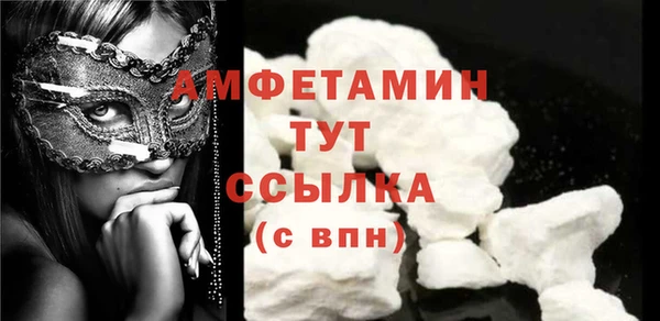 индика Беломорск