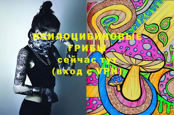 индика Беломорск