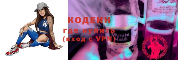 индика Беломорск