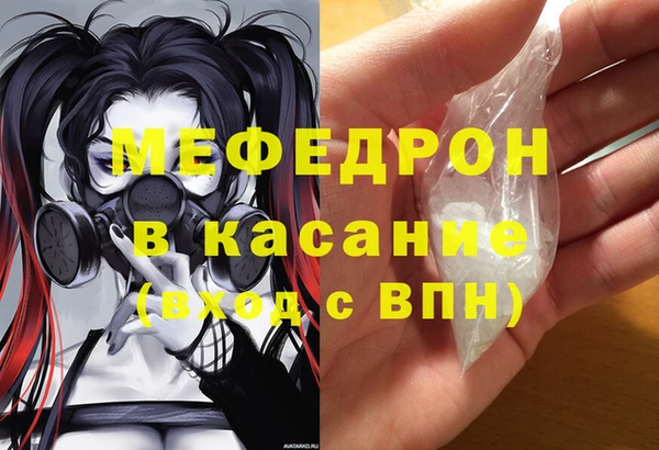 индика Беломорск