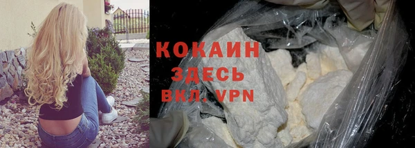 индика Беломорск