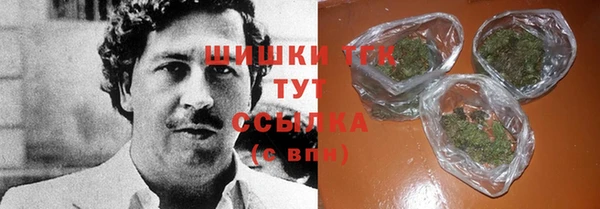 индика Беломорск