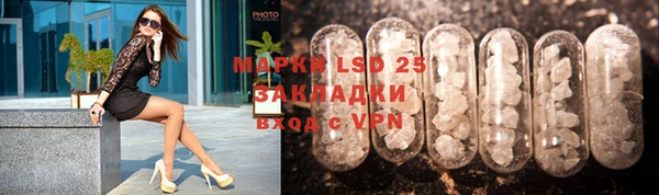 индика Беломорск