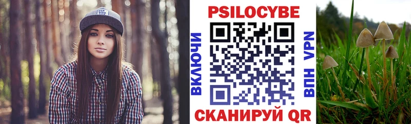 MEGA   Каменск-Уральский  Псилоцибиновые грибы прущие грибы 